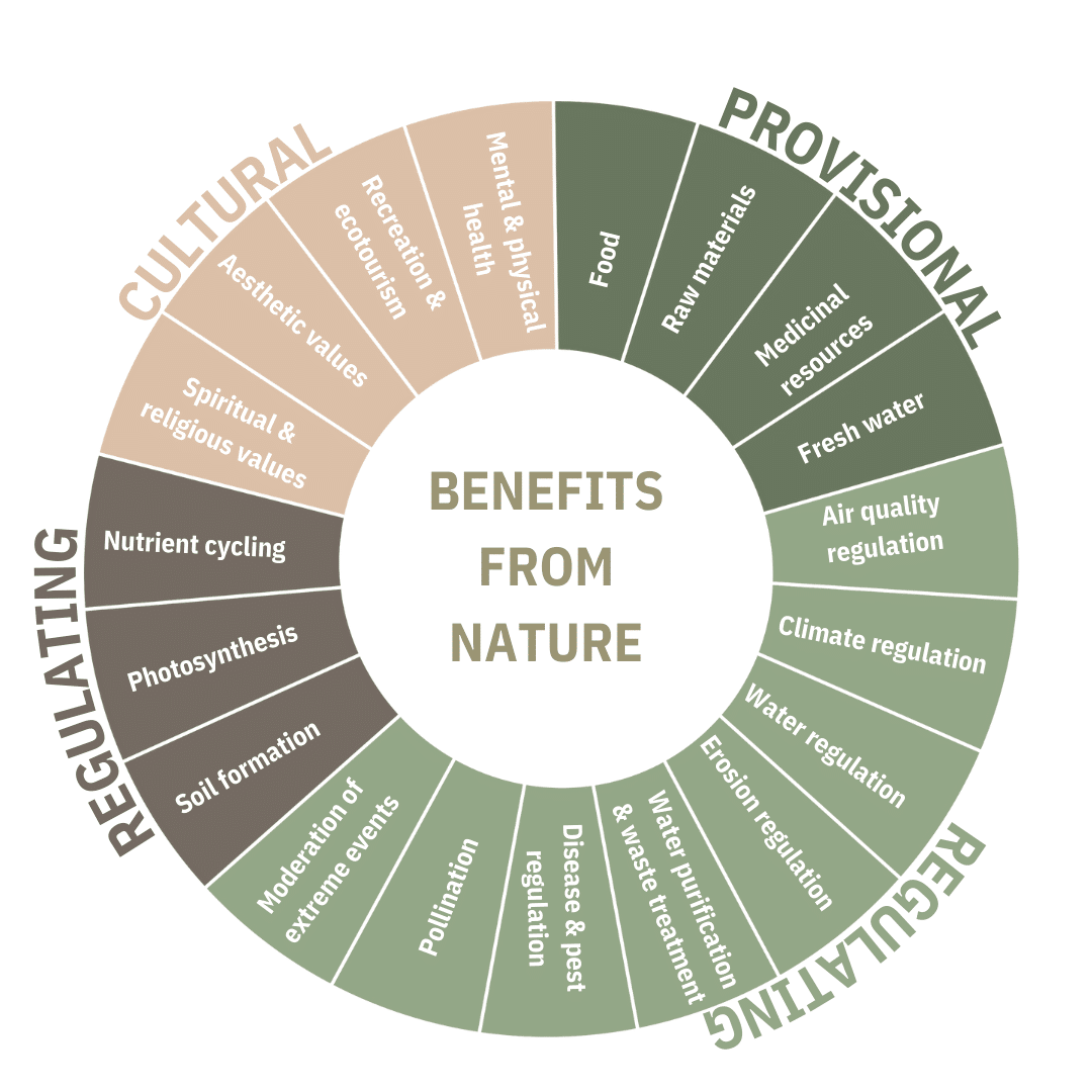 key sustainability terms in sustainable marketing 